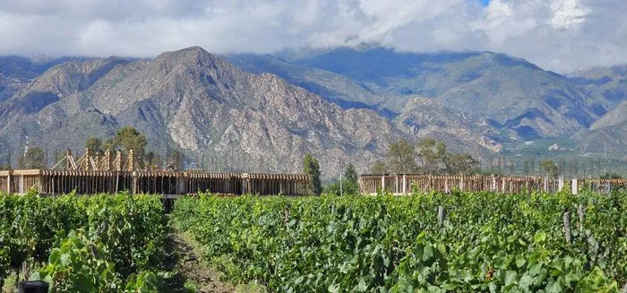 Entre viñedos y montañas: el desafío de construir una arquitectura abierta al paisaje de Cafayate 