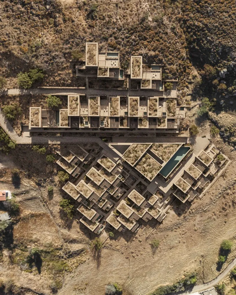 Six AMP 2025 Awardees | Works That Expand What Architecture Can Do | Cubescape